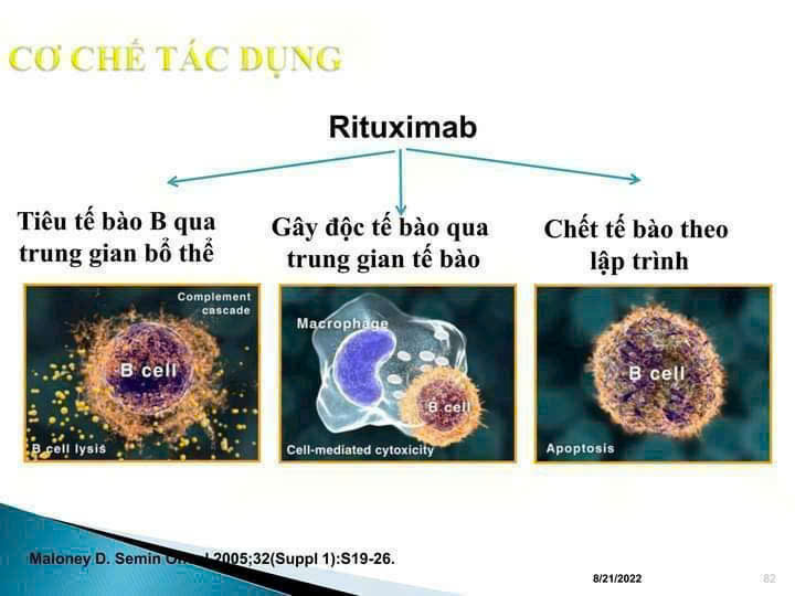 Giải pháp điều trị hiệu quả cho các bệnh ung thư và rối loạn miễn dịch Giải pháp điều trị hiệu quả cho các bệnh ung thư và rối loạn miễn dịch