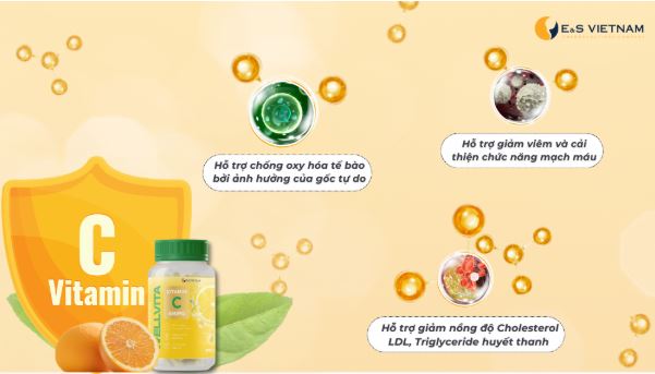 Wellvita Vitamin C bật mí khả năng hỗ trợ kiểm soát Triglyceride và LDL Wellvita Vitamin C bật mí khả năng hỗ trợ kiểm soát Triglyceride và LDL