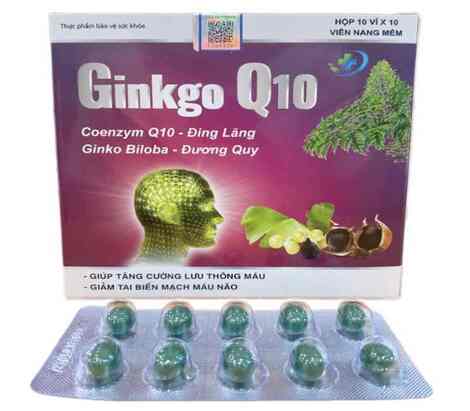 GINKO Q10  TÍM
