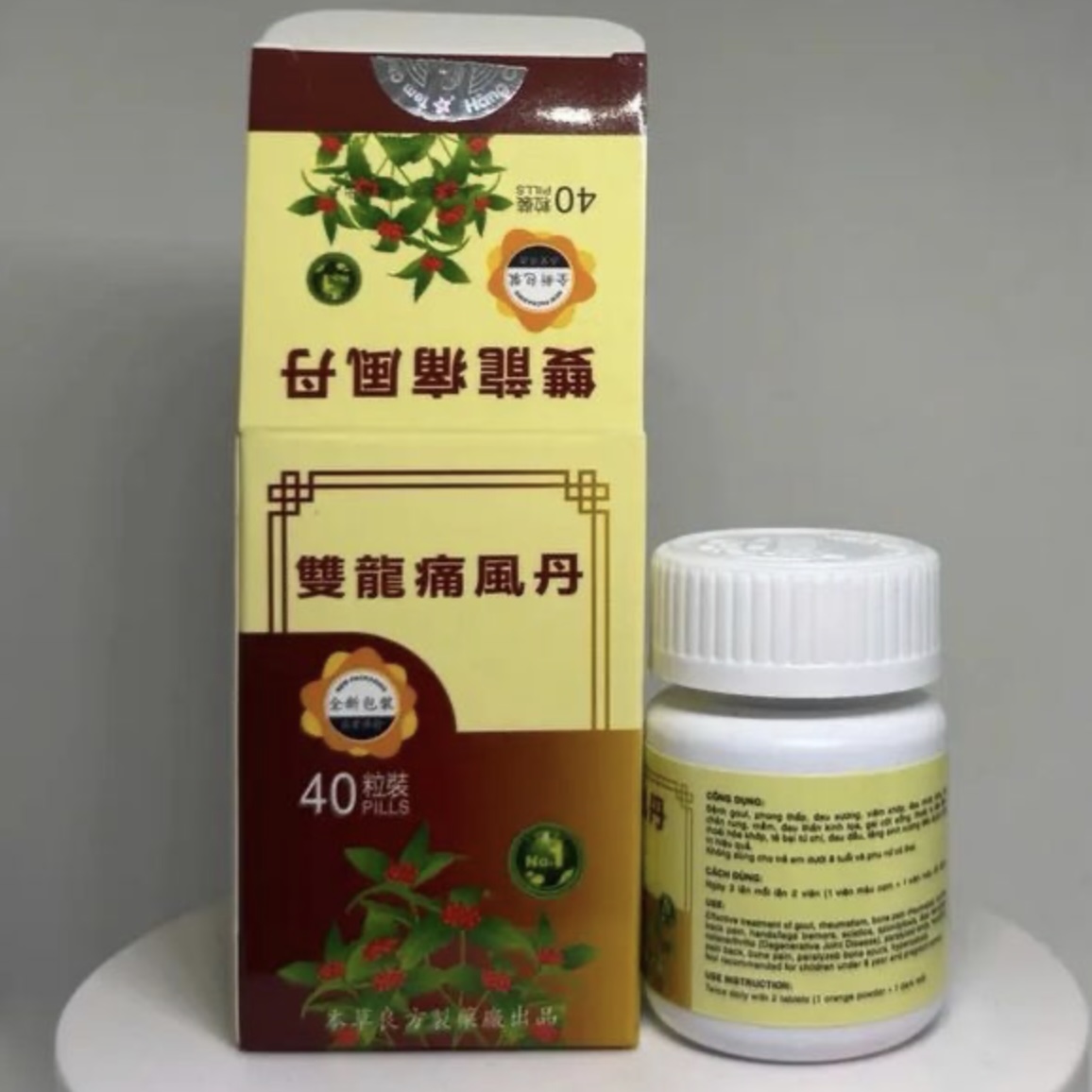 Viên Uống Hỗ Trợ Xương Khớp Song Long Thống Phong Đan - Giảm Đau Nhức