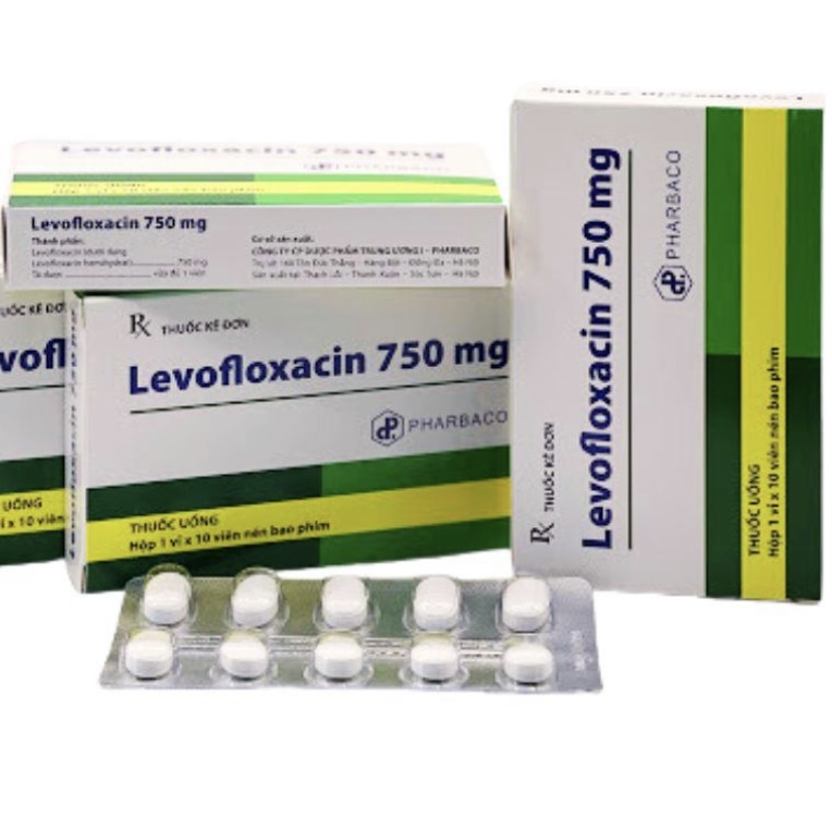 Levofloxacin 750 Pharbaco điều trị nhiễm khuẩn