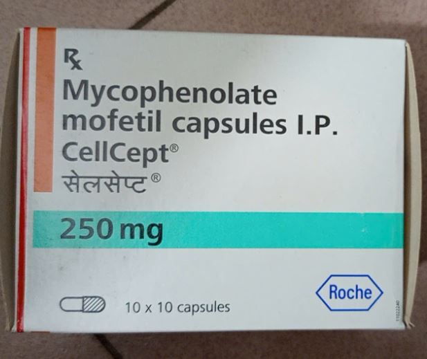 Thuốc CellCept điều trị dự phòng thải ghép trên bệnh nhân mới ghép dị thận