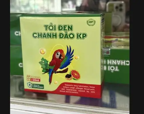 TỎI ĐEN CHANH ĐÀO KP