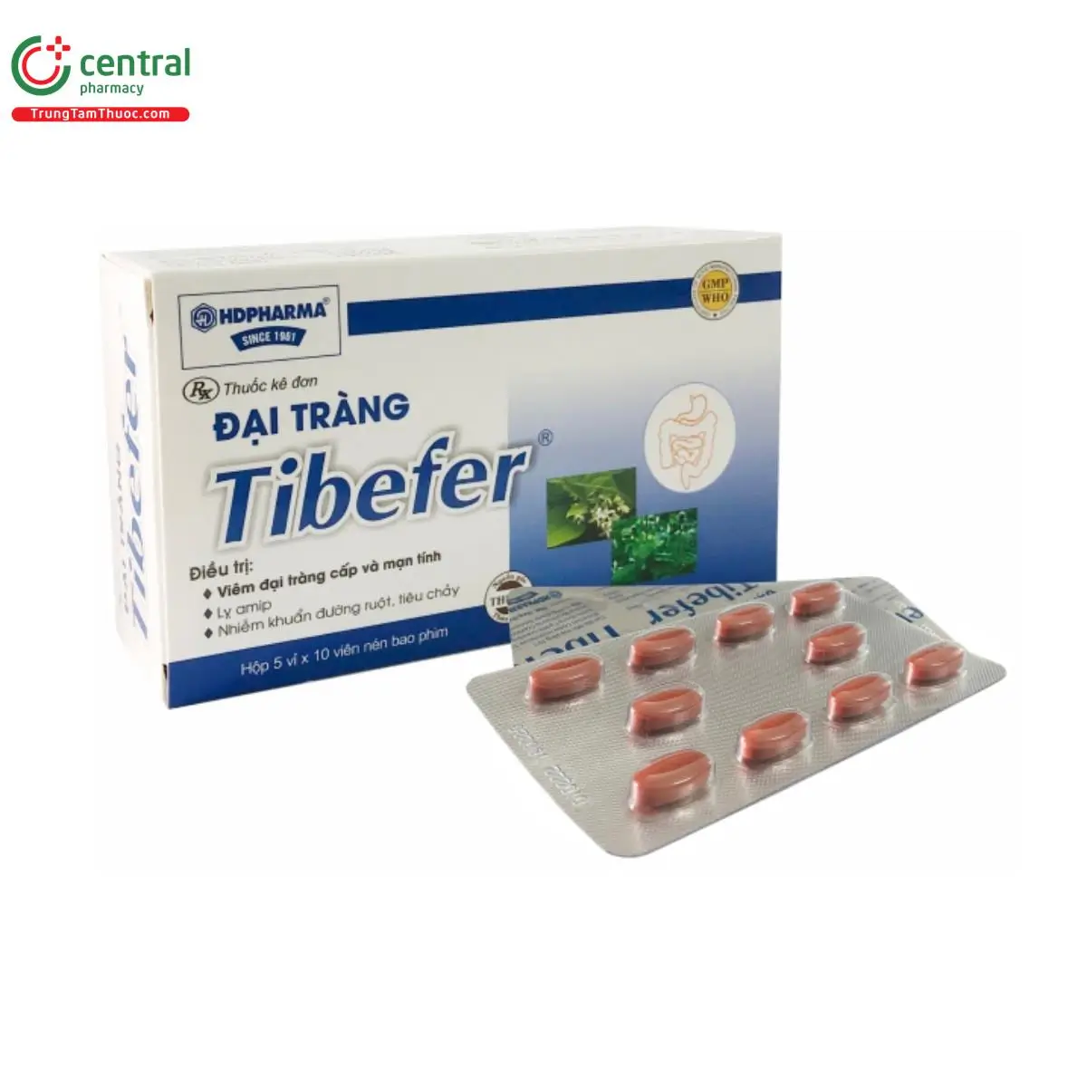 Đại tràng Tibefer