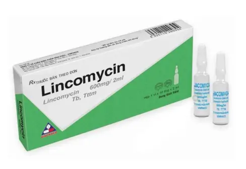 Dung dịch tiêm Lincomycin 600mg/2ml Vinphaco điều trị nhiễm khuẩn xương, phụ khoa (1 vỉ x 10 ống)