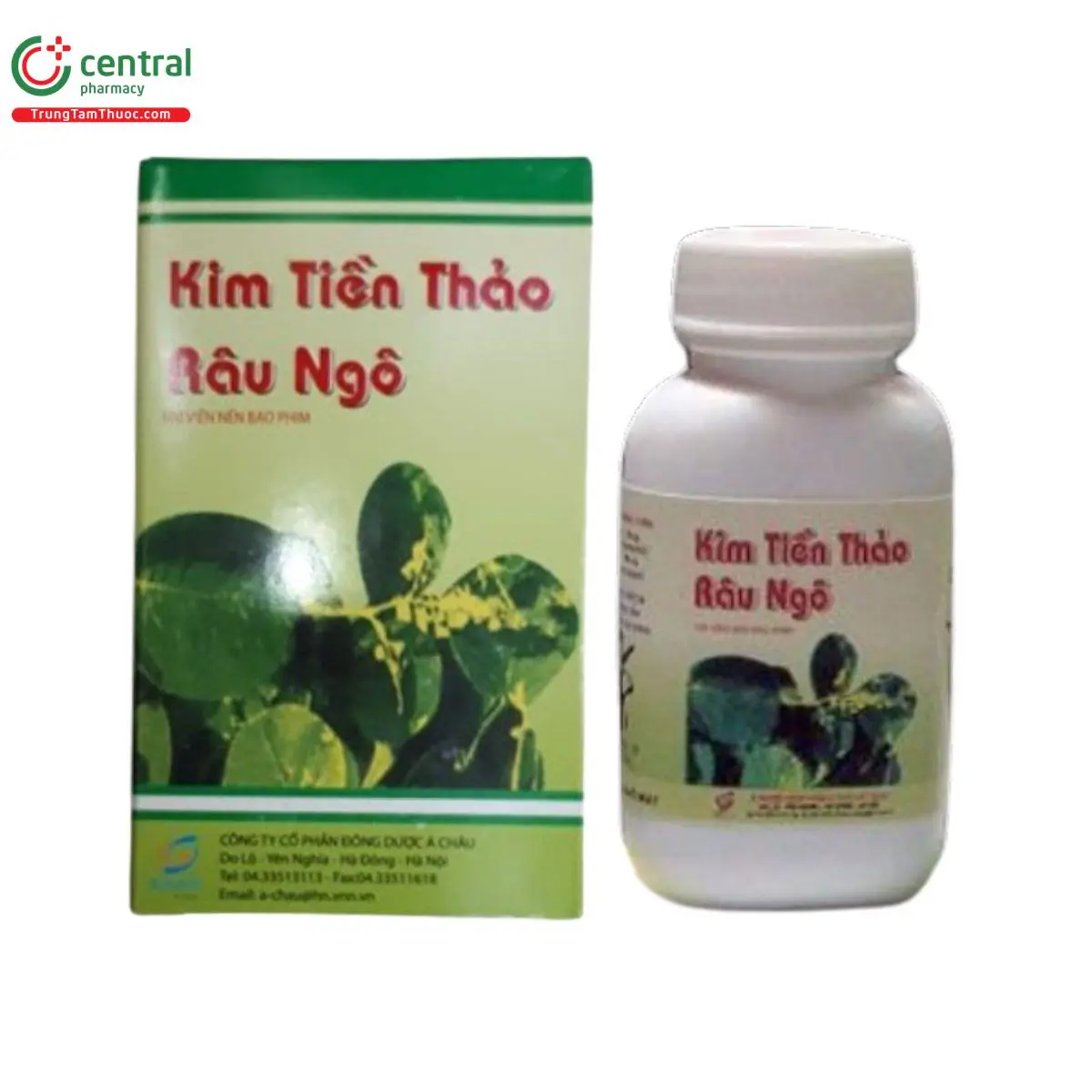 Kim tiền thảo râu ngô
