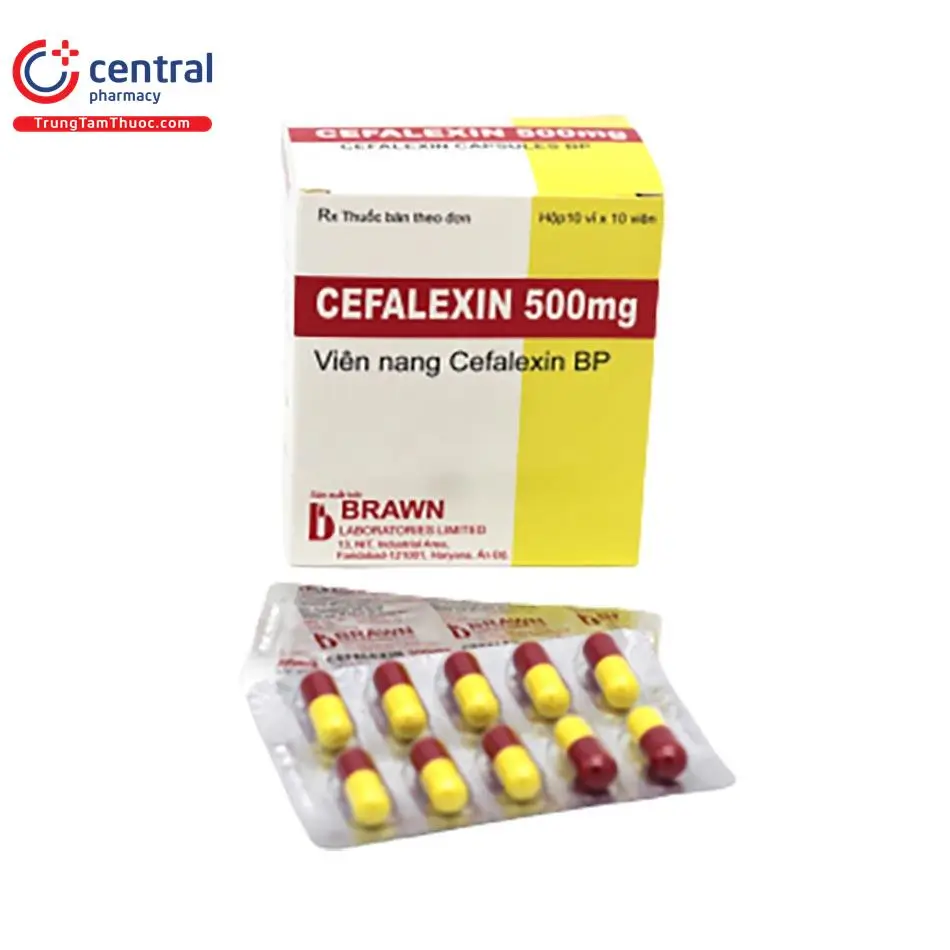 Cefalexin 500mg Brawn điều trị nhiễm khuẩn đường hô hấp